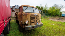20250208-Lewiszong-00538